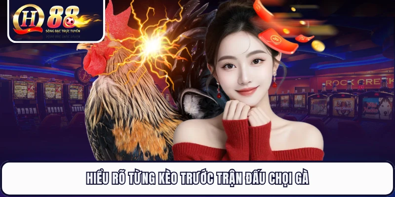 Hiểu rõ từng kèo trước trận đấu chọi gà